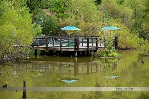 Durham Museum of Life & Science | Commercial Photography | Brian ...