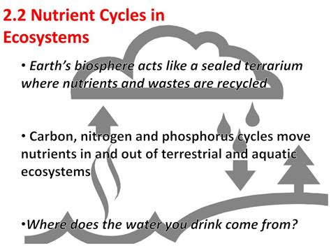 Ppt Chapter 2 Energy Flow And Nutrient Cycles Support Life In