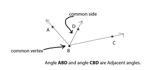 Adjacent Angles: Definitions and Examples - Club Z! Tutoring