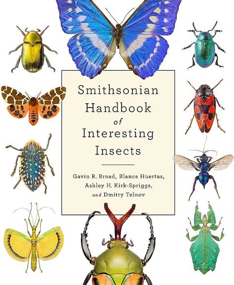 Discover The Coolest Bugs In The World: A Fascinating Guide - [Updated ...