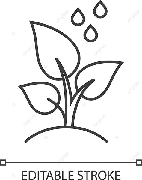 Reforestation Icon With Small Plant And Water Drops Vector Ecology