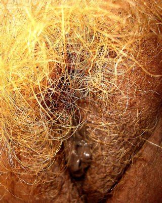 Candida Royalle Nude Porn Pics Leaked XXX Sex Photos App Page 3 PICTOA