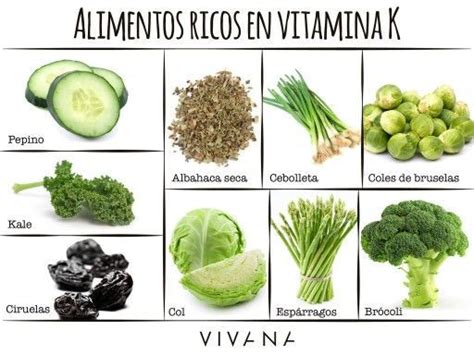 Elecci N De Verduras Con Alto Contenido De Vitamina K Qu Verduras