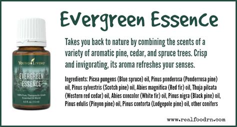 Evergreen Essence Essential Oil - Real Food RN