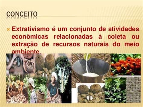 O Que É Extrativo - Extrativismo vegetal e mineral