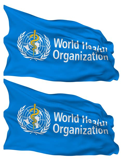 World Health Organization Who Flag Waves Isolated In Plain And Bump