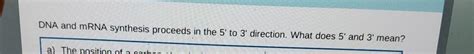 Solved DNA and mRNA synthesis proceeds in the 5' ﻿to 3' | Chegg.com