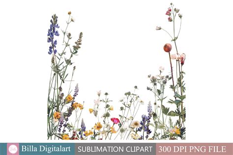 Free Wild Flowers Floral Border Clipart Graphic by BillaDigitalart ...