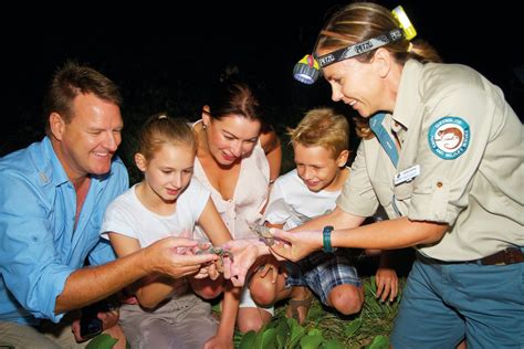 Queensland S Turtle Preservation Programs Now Tourist Attractions