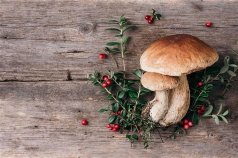 Setas Boletus Edulis Y Bayas Sobre Fondo De Madera Copiar Espacio Vista