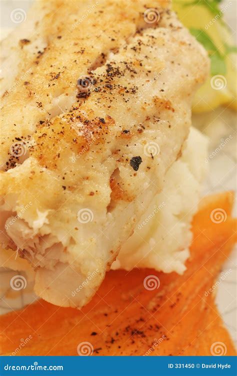 Grilled Blue Grenadier Macro Stock Photo - Image of fried, dinner: 331450