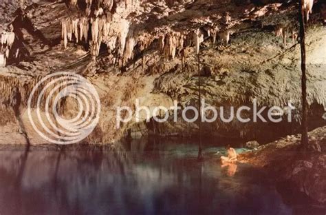 Acid Bubble - Oracle Fox