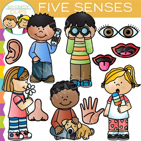 Five Senses Clipart And Look At Clip Art Images Clipartlook