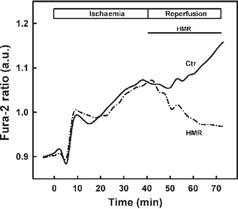 Representative Traces Of Cytosolic Ca Concentration Fura Ratio