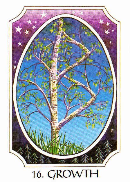 16 Growth Berkano Rune Cards By Ralph Blum Illustrated By Jane