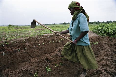 5 Tech Start Ups Transforming Agriculture In Africa The Borgen Project