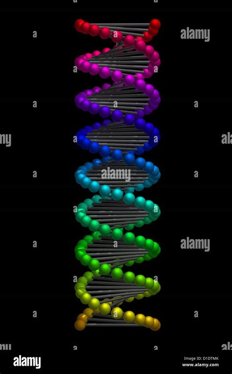 DNA double helix Stock Photo - Alamy