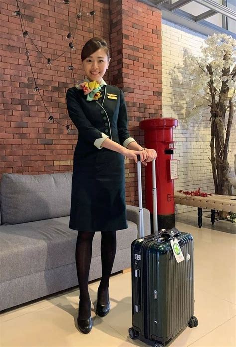 Pin Auf Flight Attendant Gereiztheit