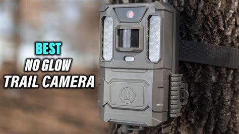 Top No Glow Trail Cameras For Enhanced Security A Comprehensive Guide