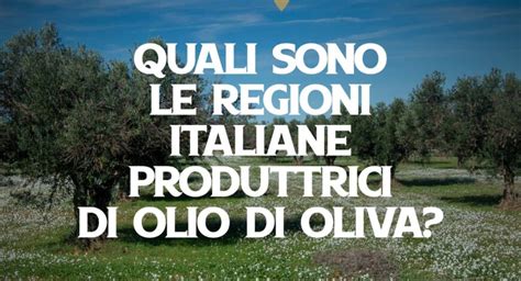 Produzione Olio Di Oliva In Italia Per Regione Le Cultivar