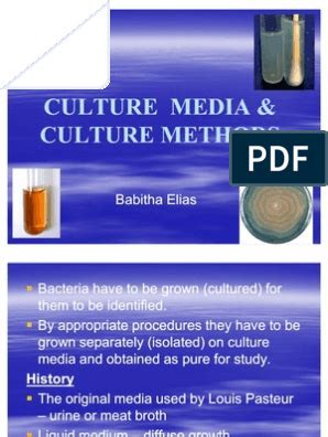 Bacterial Culture Media In Plate Tube PDF