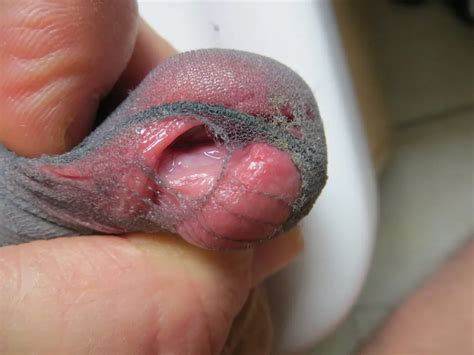 Feel The Heel Insertion Vol Nude Pics Xhamster