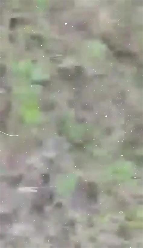 Bangladeshi Khanki Magi Fuck In Jungle