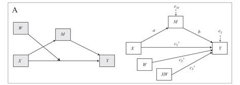 Mmcp Conditional Process Analysis