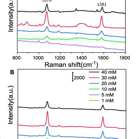 A Sers Spectra Of Mg From Fish Using The Ag Ps Substrate B Sers