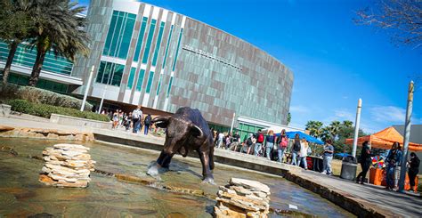 USF remains among top finishers in | The USF Parent & Family BULLetin