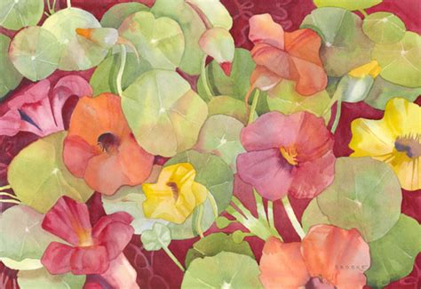 Floral Watercolor Paintings Brooke Studio Gallery