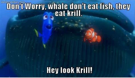 Hey look Krill!! Meme Maker, Krill, Happiest Place On Earth, Finding ...