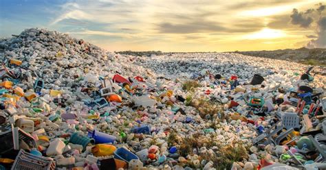 plasticfreejuly  sustainable plastic  local brands  support