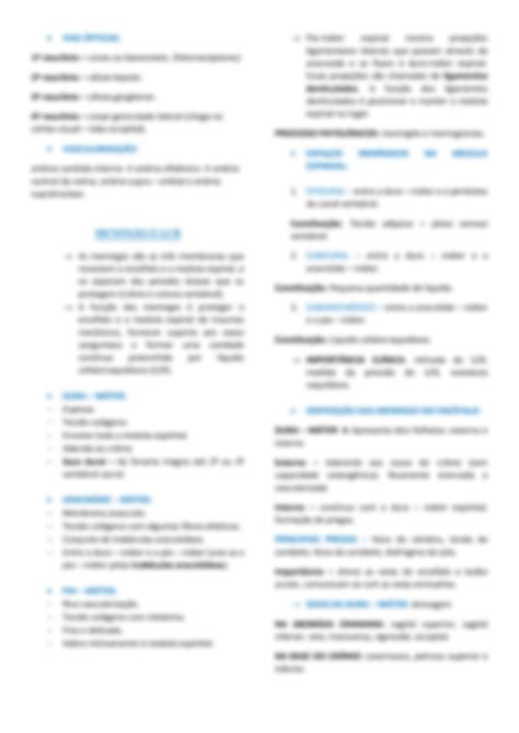 Solution Resumo De Neuroanatomia Studypool