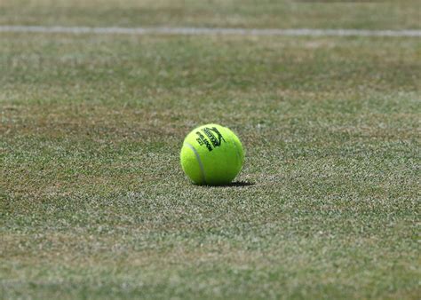 Wimbledon 2025: All you need to know