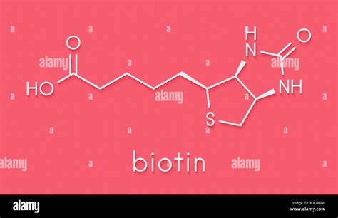 Biotina estructura quimica fotografías e imágenes de alta resolución