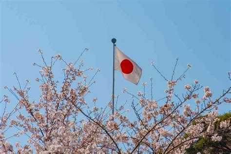 Rising Sun Flag – History and Other Flags in Japan – YouGoJapan