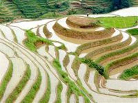 Longji Rice Terraces Hiking, Longsheng Longji Rice Terraces Travel ...