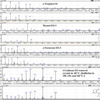 The Detected Mass Spectra Upper And Their Corresponding Mass Spectra