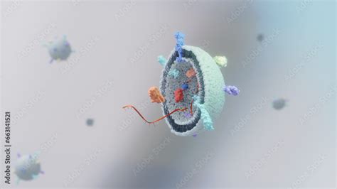 3D Illustration Of The Small Extracellular Vesicles Exosomes MVs