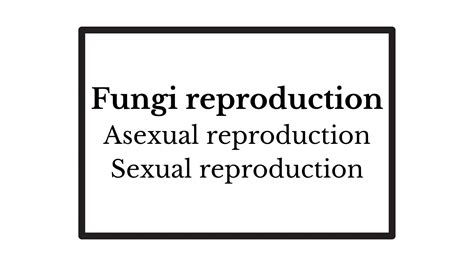 Fungi Reproduction