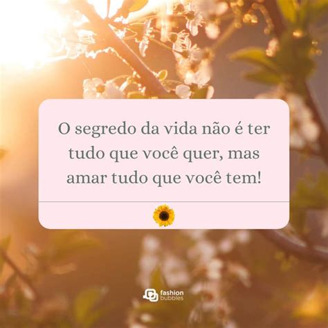 frases de reflexão sobre a vida lição de vida Descubra os bônus