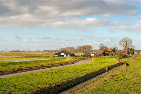 Horse Ditch Stock Photos Pictures And Royalty Free Images Istock