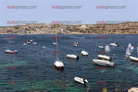 St Paul's Bay - Malta Photos