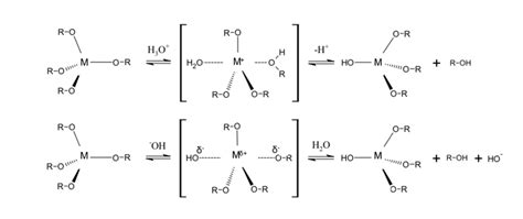 Hydrolysis Reaction Mechanisms Of A Metal Alkoxide Catalysed By An Acid