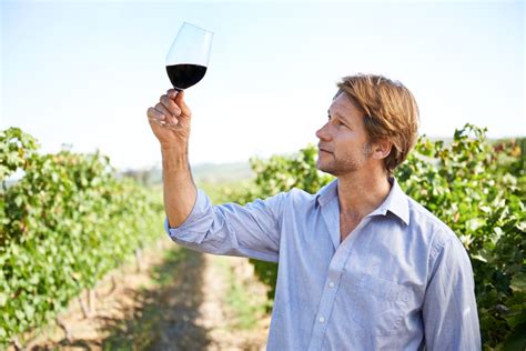 The Most Affordable Fine Wine Regions - Wine History Tours