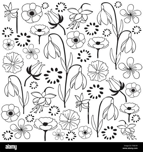 Blumen und Blätter Hand gezeichnete Skizze doodle schwarz weiß