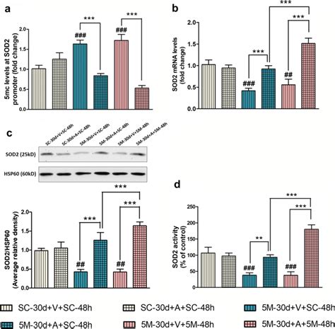 Prophylactic Treatment Of Dnmt Inhibitor Azacytidine Removed The