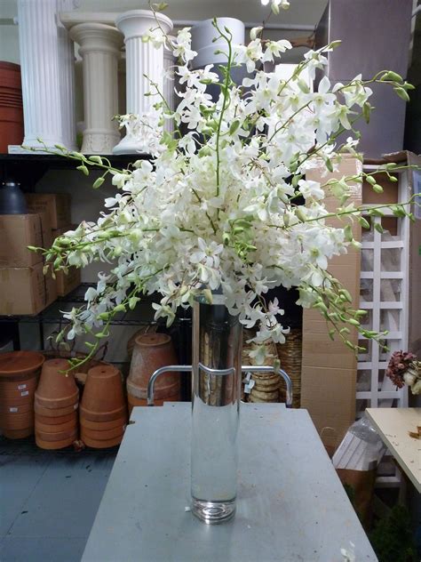 White Dendrobium Orchid Spray Resting Atop A Tall Vase To View Our