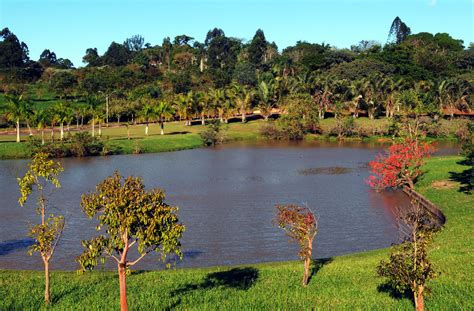 Dois meses depois Parque Ecológico é reaberto ao público CBN